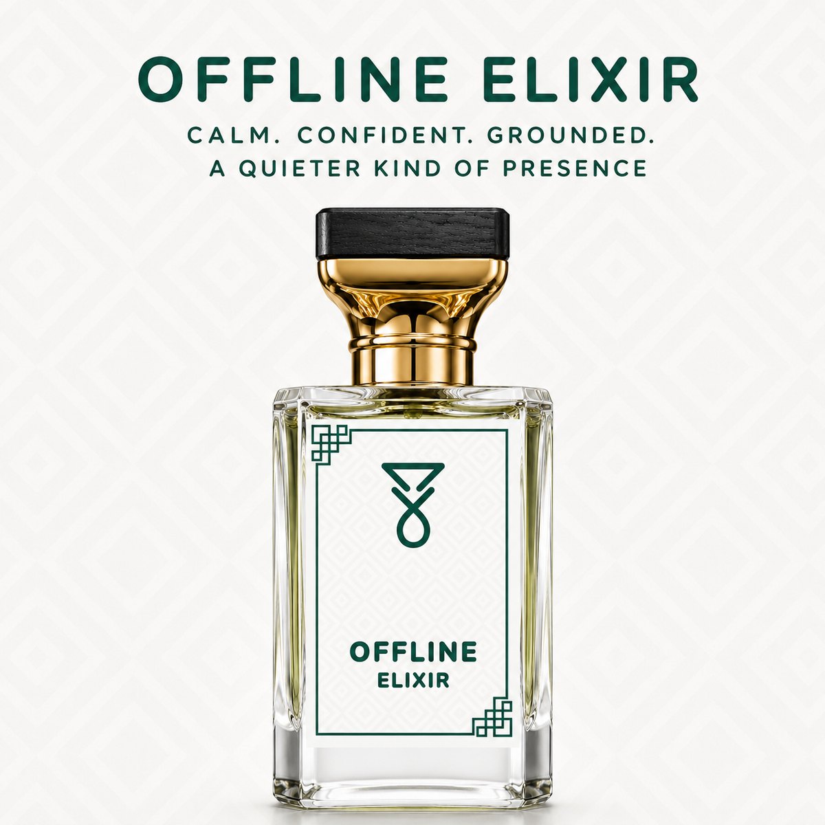 Offline Elixir eau de parfum — calm, confident, grounded